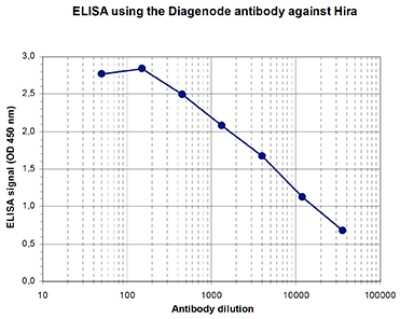 ELISA: HIRA Antibody [NBP3-18665]